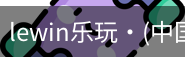 LEwin乐玩官网